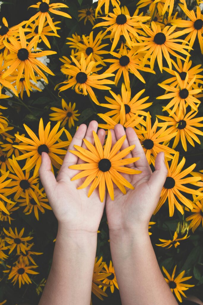 Constelaciones Familiares que es